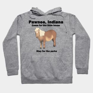 RIP Lil Sebastian Hoodie